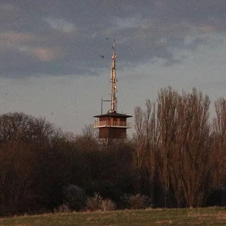 1 - Eilrich Comfortable *