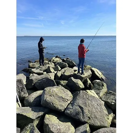 1 - Eilrich Comfortable *