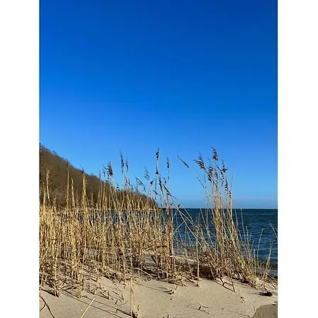 1 - Eilrich Comfortable