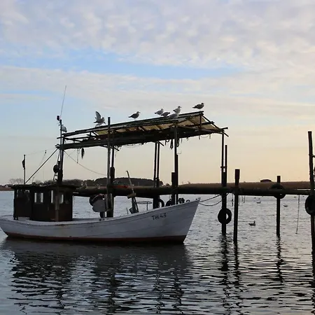 1 - Eilrich Comfortable *